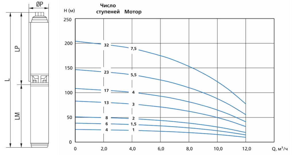 SX4T8.jpg