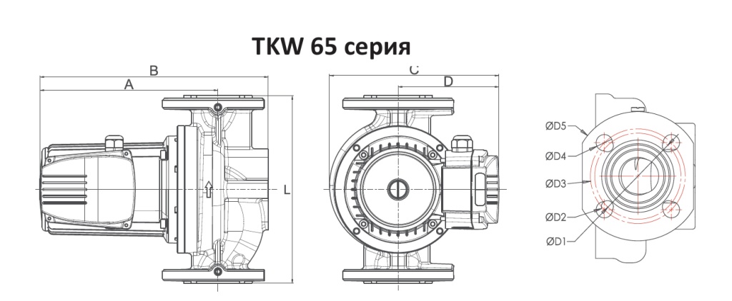 TKW65.jpg