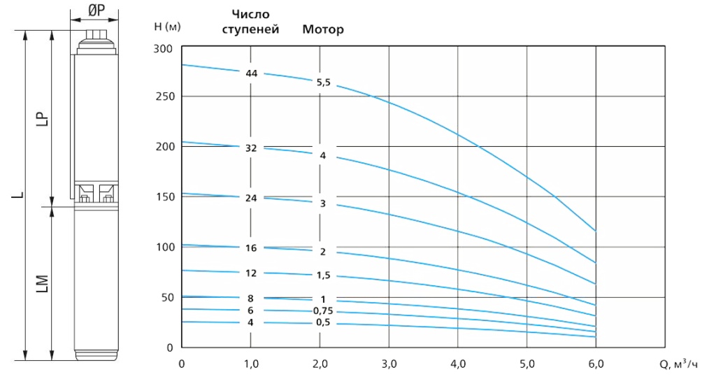 SX4T4 .jpg