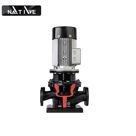   Native IPN 32/180-3,0/2 3380V 50Hz ( 2474243)