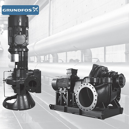 Насос двустороннего входа Grundfos LSV 125-100-305/273.1 W1F1DS BAQE 1